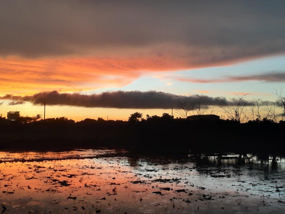 從工作室望向戶外，傍晚時分夕陽西下，溫暖舒適的橘黃，是再浪漫不過的感受。