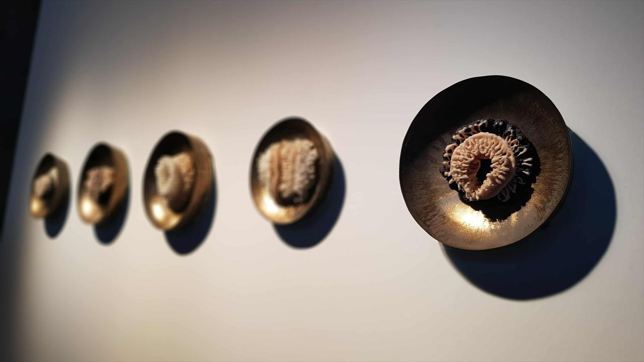  許瓊文作品〈花非花〉，創作獎優選。