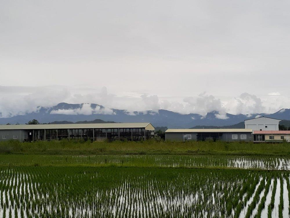 工作室座落在遼闊的鄉野，比鄰小徑、農田、果園與養殖場。