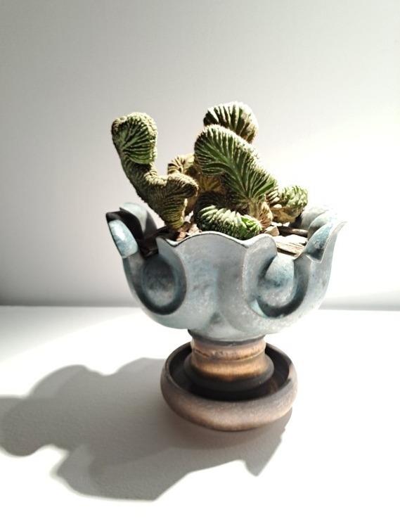 實用組佳作 丁有彧 現代禮器—紋飾盆〉